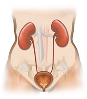 Sri Santhi Hospitals